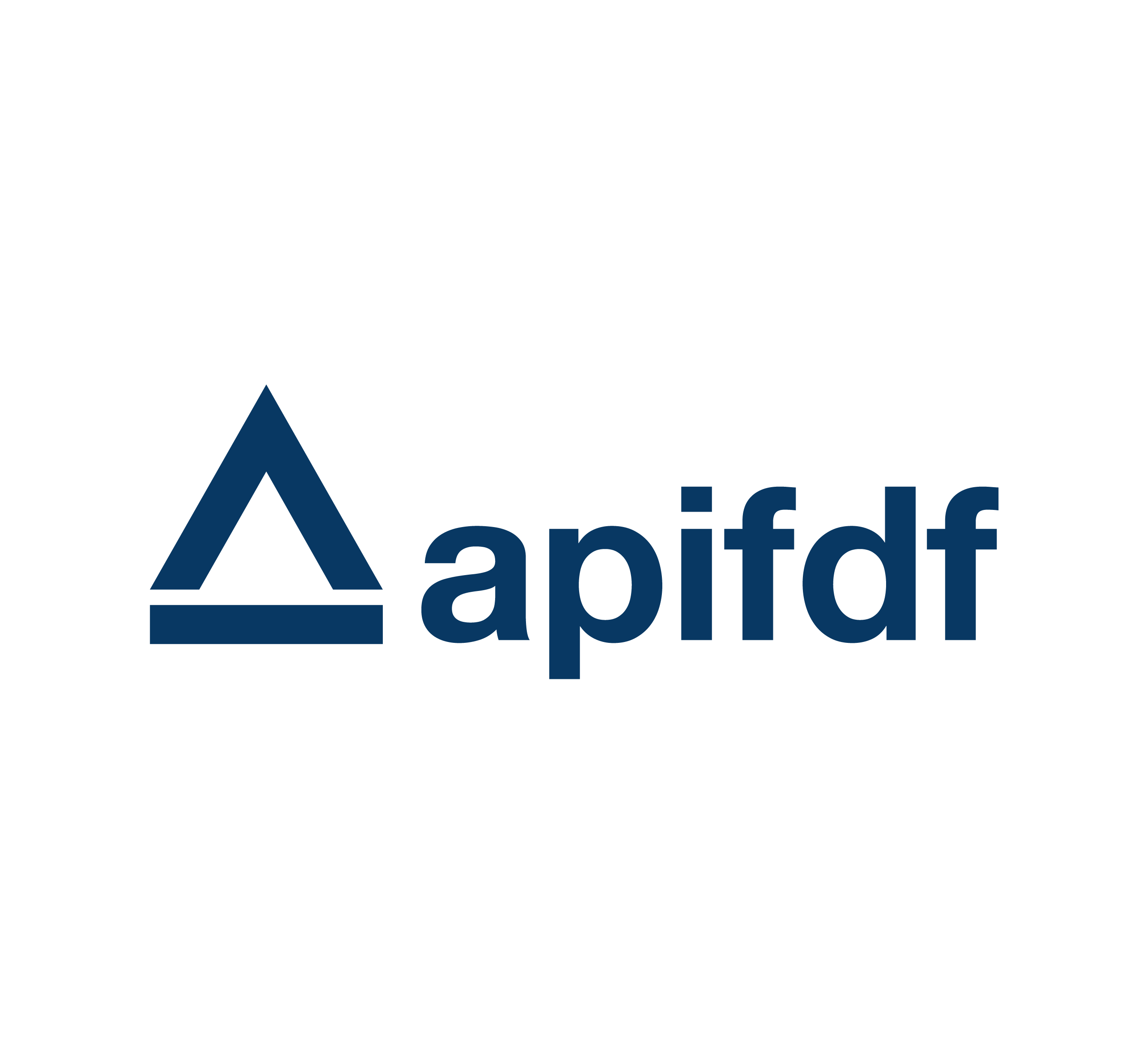 api logo